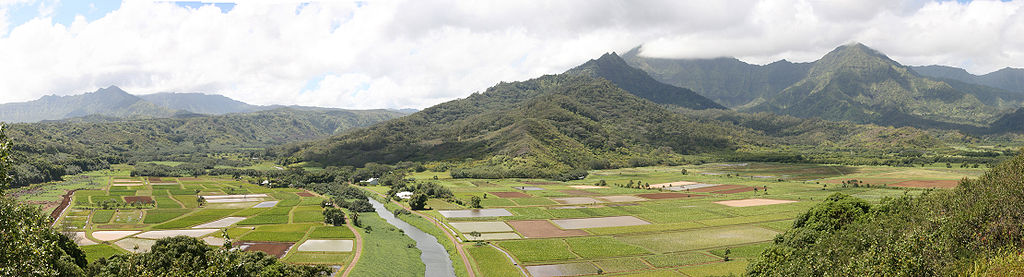 Hanalei Valley and taro fields
