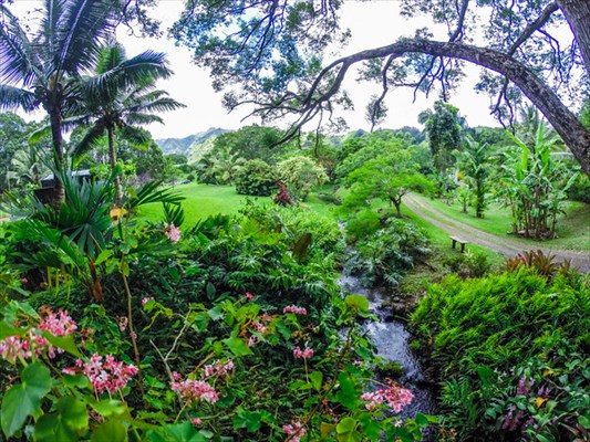 kauai home - landscape