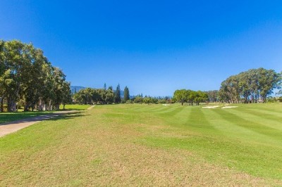 4939 EMMALANI DR PRINCEVILLE - golf course