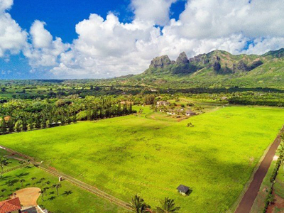 Aliomanu Estates land - aerial mountain view