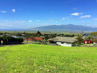 Maui Homes and Condos For Sale-10