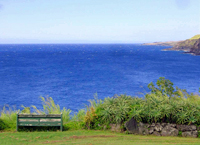 Maui Homes and Condos For Sale-7