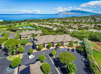 Maui Homes and Condos For Sale-4