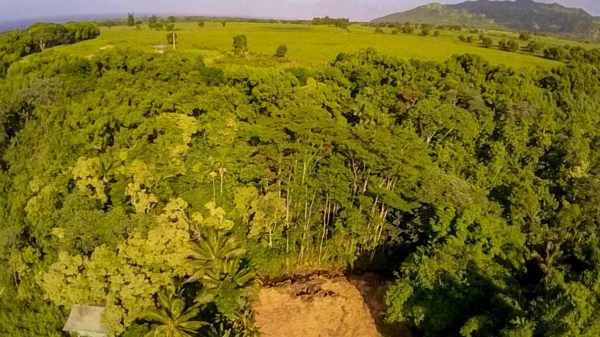 kauai plantation home - property aerial 