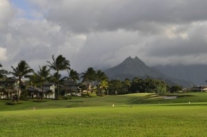 princeville golf course condo - mountain view