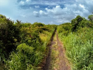 kau vacant land - path