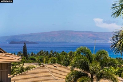 147 Hoohale St Kihei - view