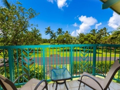 4141 QUEEN EMMAS DR #30 - lanai