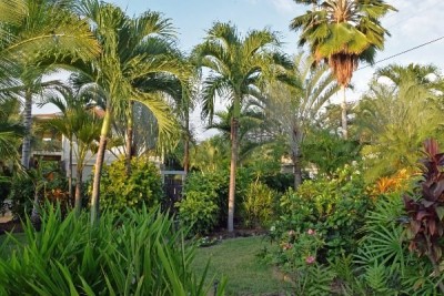 77-116 NAHALE PL KAILUA-KONA - landscape