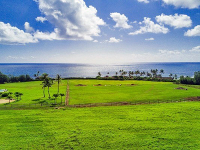 Aliomanu Estates land - ocean view
