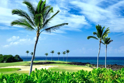 Halii Kai Condo - golf course