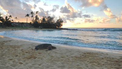 Koloa - Poipu Beach